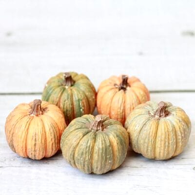 Gypsum pumpkin